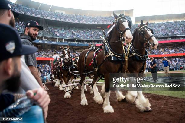 Brandon Workman of the Boston Red Sox looks on as Clydesdale horses parade across the field before game five of the 2018 World Series against the Los...