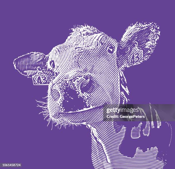 ilustraciones, imágenes clip art, dibujos animados e iconos de stock de cerca de la vaca sonriente feliz - cow head