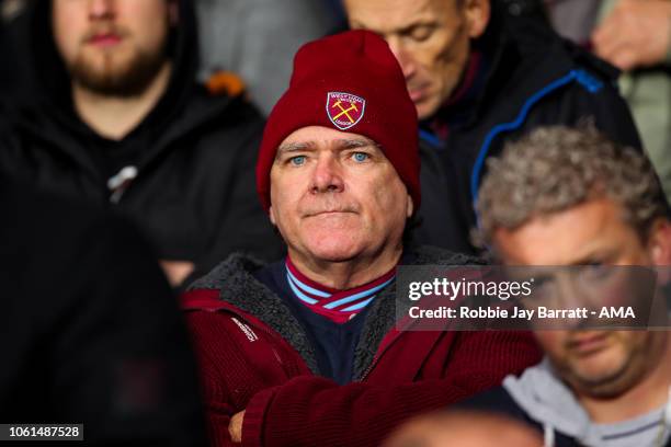 Fan fo West Ham United looks on during the Premier League match between Huddersfield Town and West Ham United at John Smith's Stadium on November 10,...