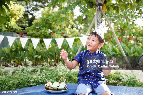 chinese boy with a plate of burthday cupcakes in a park - chinese birthday stockfoto's en -beelden