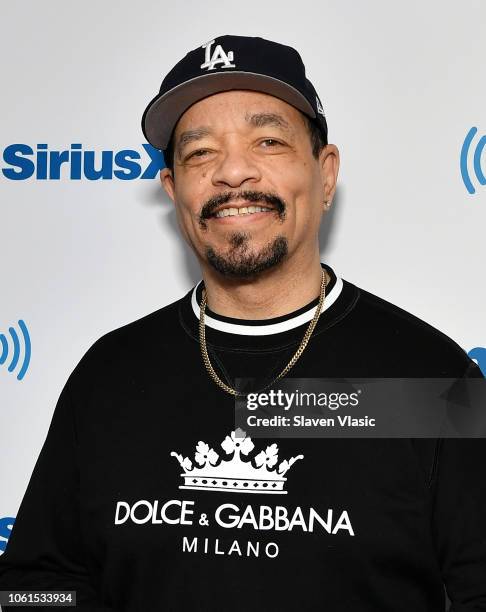 Ice T Rapper Rabbit Rapper Actor Photos and Premium High Res Pictures - Getty Images