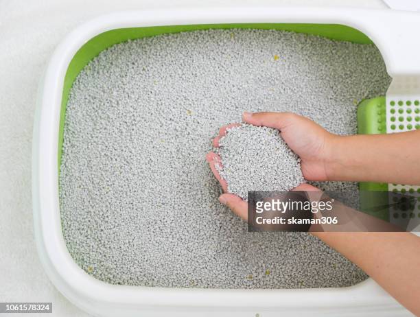 hand holding cat litter sandbox - litter box stock pictures, royalty-free photos & images