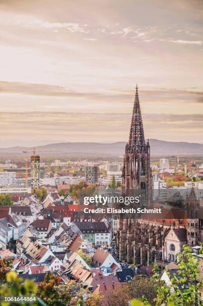 view over freiburg im breisgau - nordrhein westfalen landschaft stock-fotos und bilder