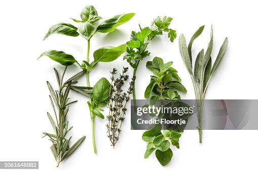Fresh Herbs: Rosemary, Basil, Thyme, Parsley, Oregano and Sage Isolated on White Background Fresh Herbs: Rosemary, Basil, Thyme, Parsley, Oregano and Sage Isolated on White Background