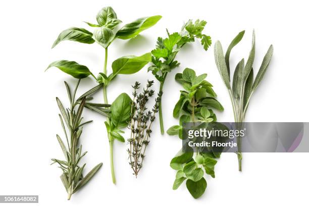 fresh herbs: rosemary, basil, thyme, parsley, oregano and sage isolated on white background - basil stock pictures, royalty-free photos & images