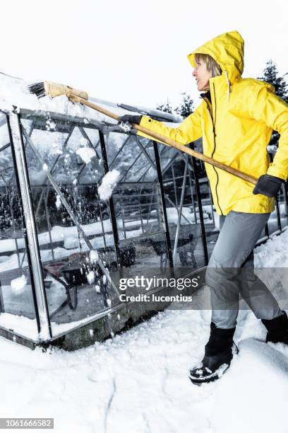 senior woman clearing snow from greenhouse - greenhouse stock pictures, royalty-free photos & images