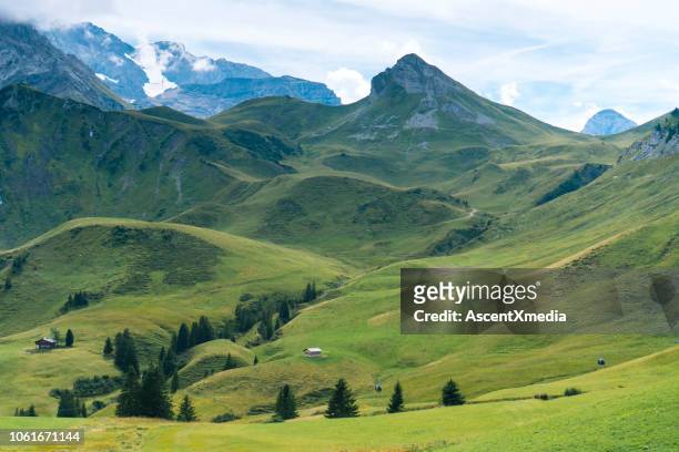 malerische aussicht auf berge und wald, wiese - schweizer alpen stock-fotos und bilder
