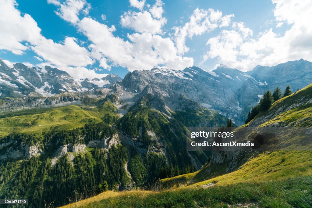 Malerische Aussicht auf Berge und Wald, tiefes Tal