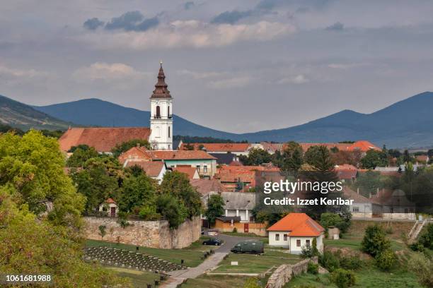 town of sarospatak, see from the top of the castle, tokaj region hungary - hongarije stockfoto's en -beelden