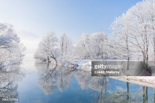 frost-covered trees mirrored in blue river or lake - bavaria winter stock pictures, royalty-free photos & images