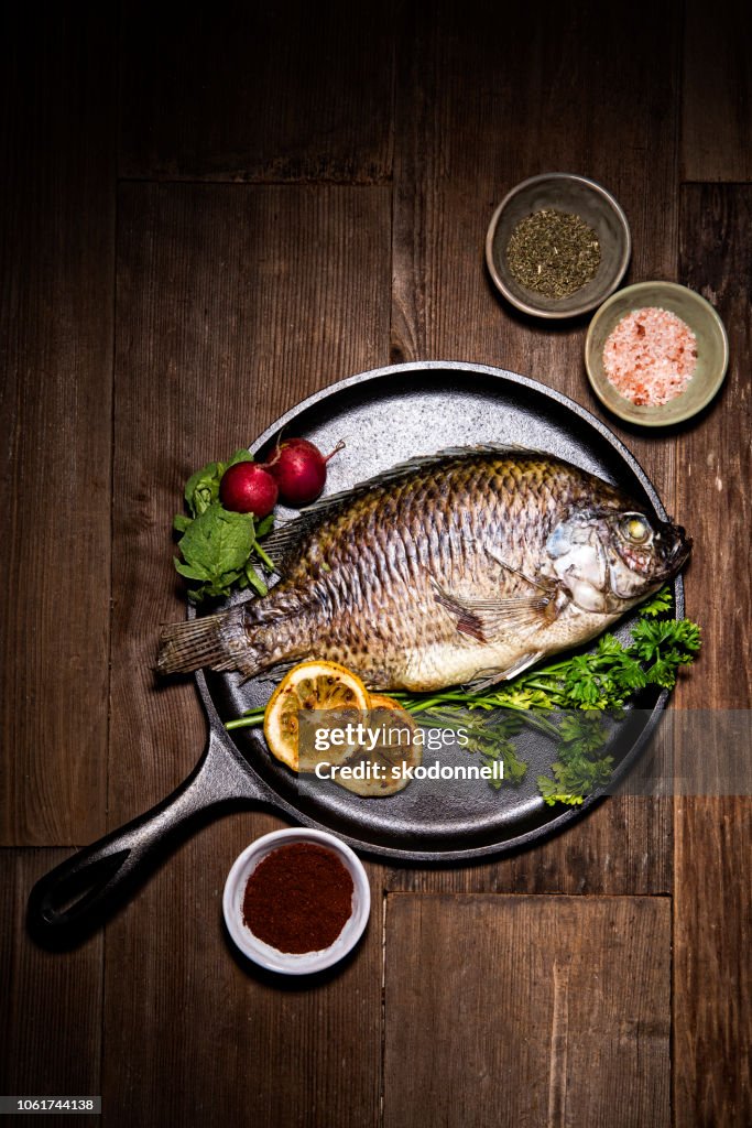 Gourmet-ganze Dorado Fische auf Metall Bratpfanne Pfanne