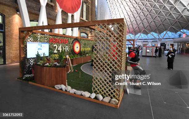 Nurofen celebrates the launch of the UK's only 24 hour clinically-proven ibuprofen pain relief patch by constructing an interactive Body Garden in...