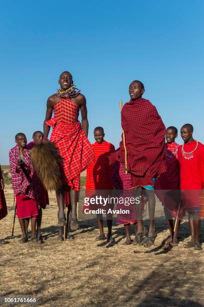 Young Maasai men performing a traditional jumping dance in the Masai Mara in Kenya.
