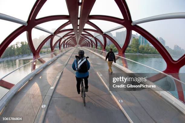 ponte de paz calgary - calatrava footbridge - fotografias e filmes do acervo