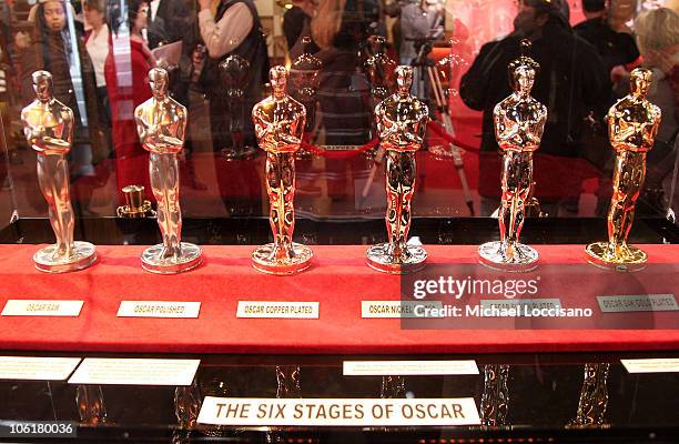 General view of Oscar statuettes at the 2008 "Meet The Oscars" press preview display in New York City's Times Square Studios on February 15, 2008.