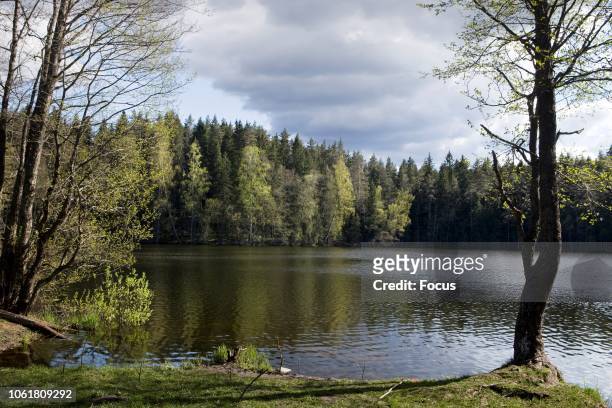 Ja_rvi Lakes in North Kaurvemaa.