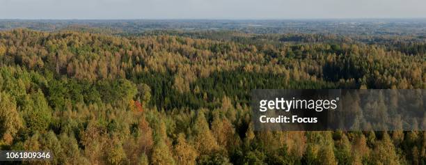 View from Harima_e viewing tower, Valga county, Southern Estonia.
