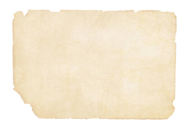 plain yellowish brown beige grunge paper background vector illustration - scratched paper stock illustrations