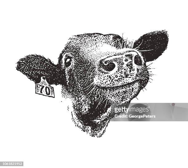 ilustraciones, imágenes clip art, dibujos animados e iconos de stock de cerca de la vaca sonriente feliz - ganaderia