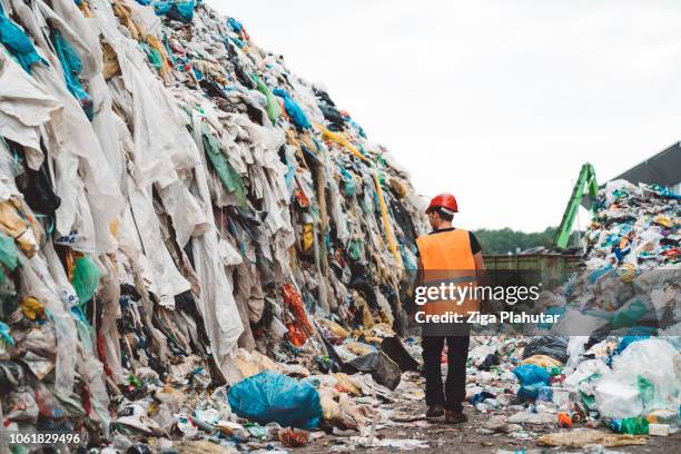 natura in pericolo - landfill foto e immagini stock