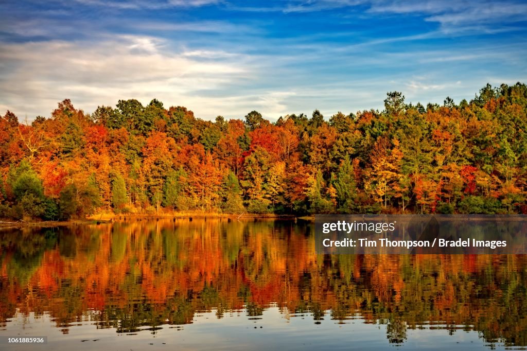 Fall Colors In Alabama