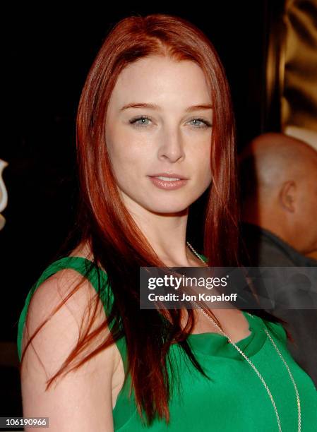 Actress Rachel Nichols arrives at the Los Angeles premiere "Charlie Wilson's War" at the Citywalk Cinemas on December 10, 2007 in Universal City,...