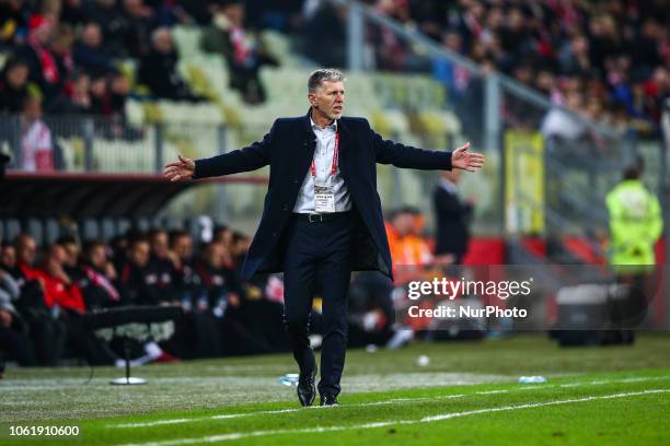 Jaroslav Silhavy of Czech Republic reacts during International Friendly match between Poland and Czech Republic on November 15, 2018 in Gdansk,...