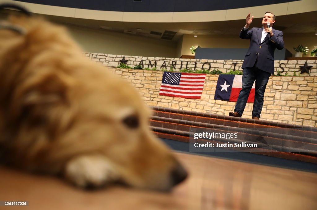 Sen. Ted Cruz (R-TX) Holds Get Out The Vote Bus Tour Rally In Amarillo, Texas