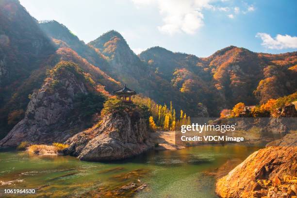 vd726 fall harvest - korea stock pictures, royalty-free photos & images
