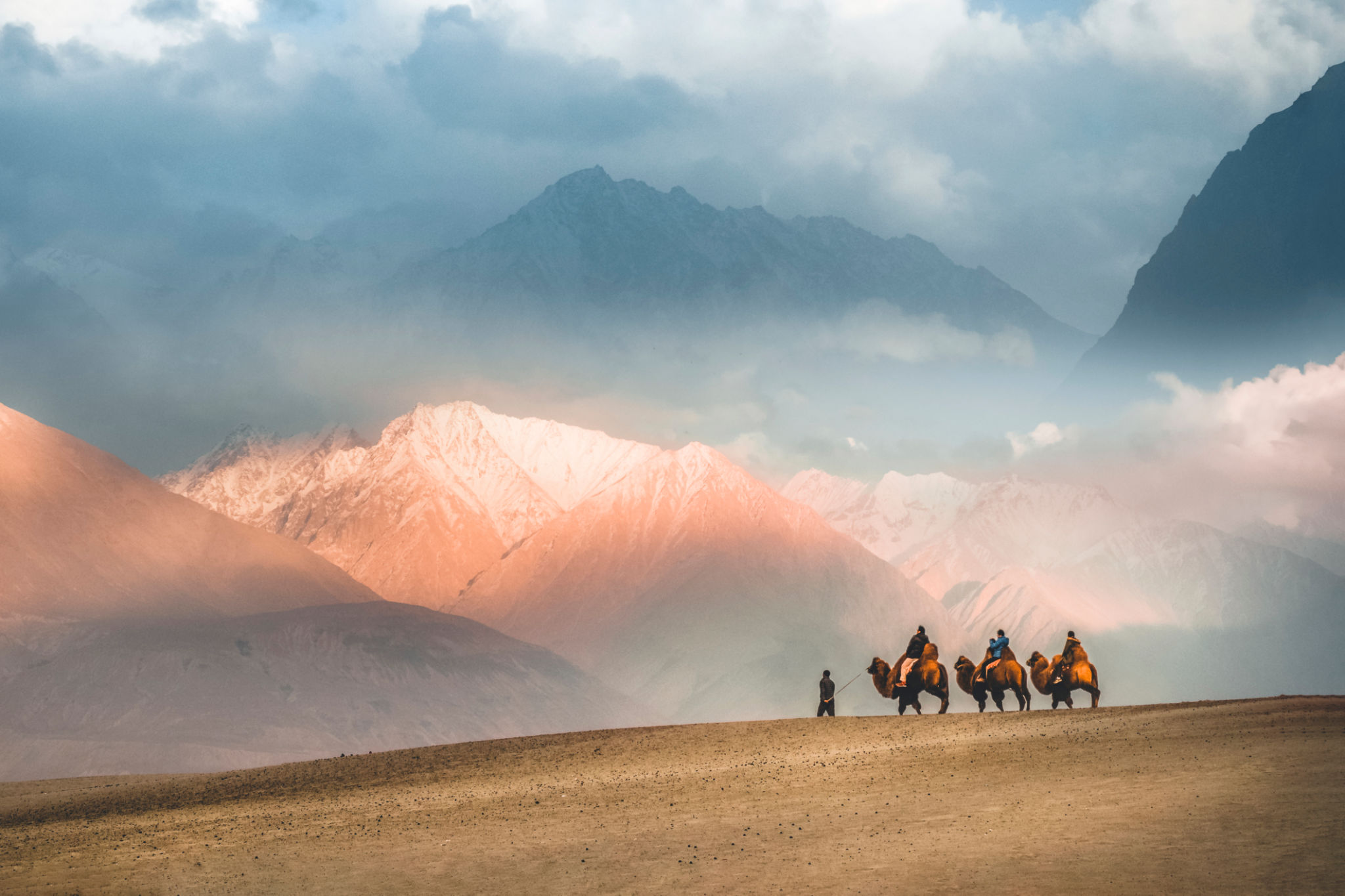 desert tour
