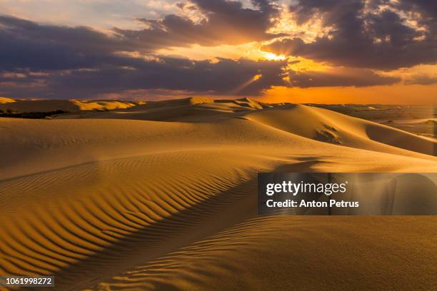 sand dunes in the desert at sunset - doha desert stock pictures, royalty-free photos & images