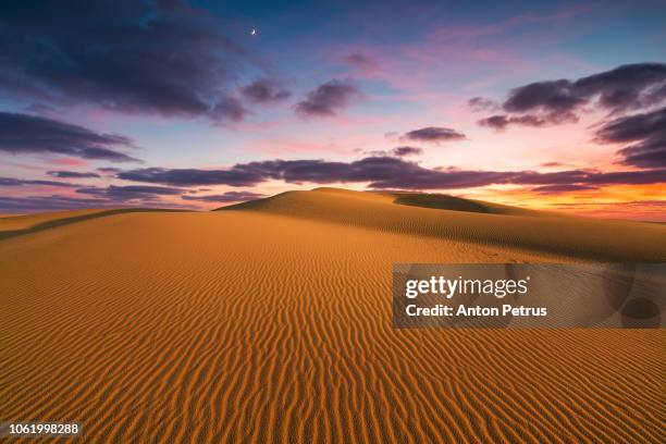 sand dunes in the desert at sunset - qatar desert stock pictures, royalty-free photos & images