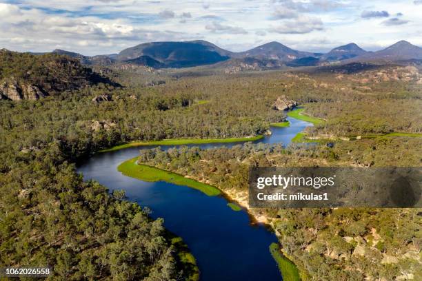 dunns swamp - forest new south wales stock pictures, royalty-free photos & images