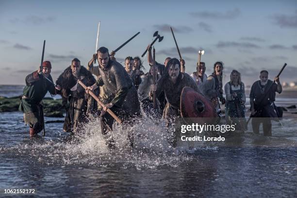 een schat van wapen zwaaiende viking krijgers - viking warrior stockfoto's en -beelden