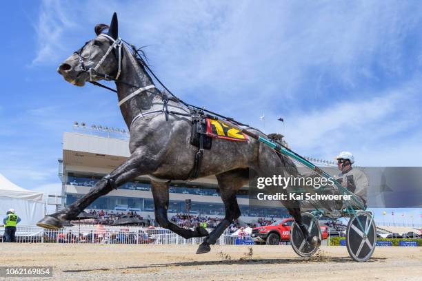 Stephen McNally driving Monrika warms up prior to Race 1 Metropol Mobile Trot during Show Day Races at Addington Raceway on November 16, 2018 in...