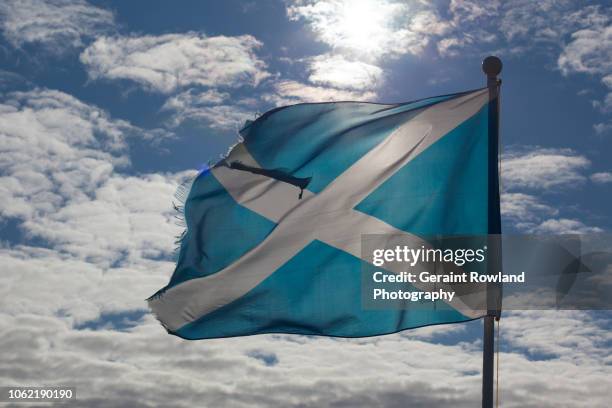 scotland! - glasgow scotland stock-fotos und bilder