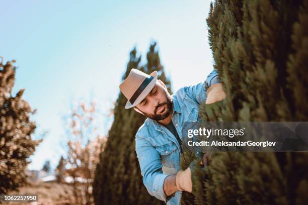 genieten van mijn elk trimmen - hedge trimming stockfoto's en -beelden