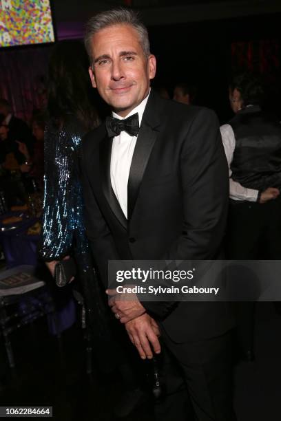 Steve Carell attends American Museum Of Natural History's 2018 Museum Gala at American Museum of Natural History on November 15, 2018 in New York...