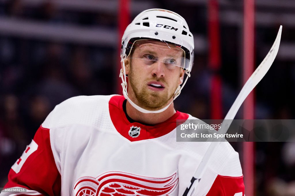 NHL: NOV 15 Red Wings at Senators