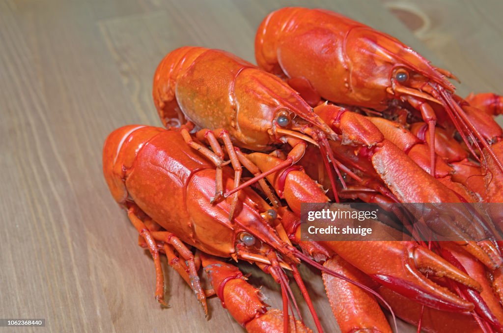 Close-Up Of Lobster