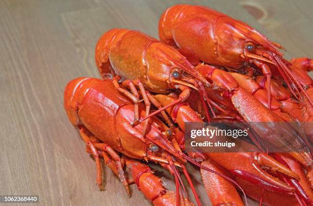 close-up of lobster - grupo pequeno de animais - fotografias e filmes do acervo