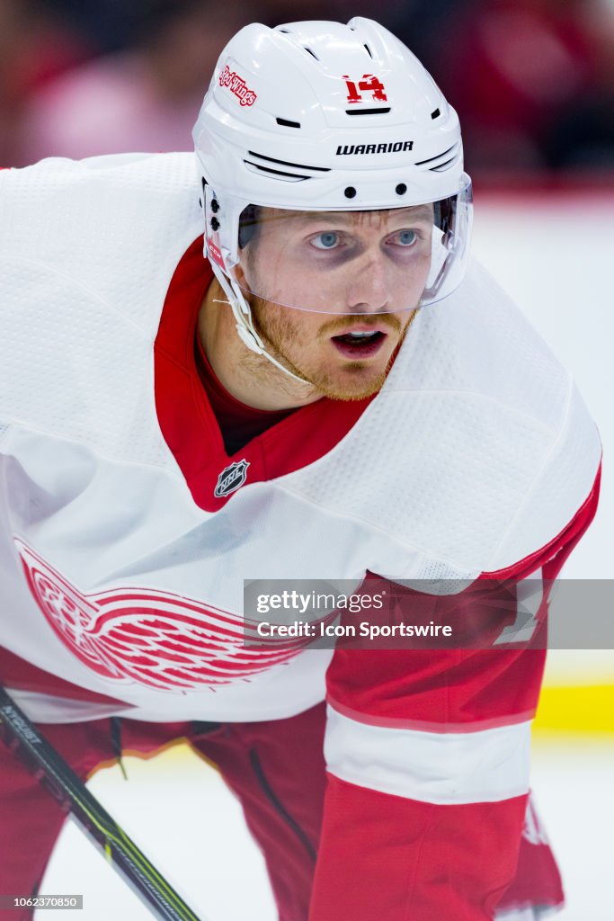 NHL: NOV 15 Red Wings at Senators