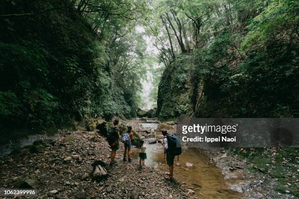 Family hiking through wild ravine in forest, Japan