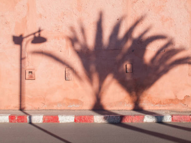 pink wall and pavement with shadows of palm trees and lamp post. marrakesh, morocco - medina marrakech photos et images de collection