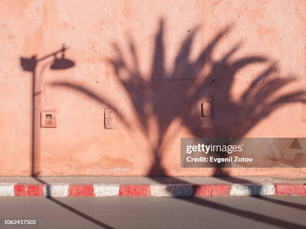 pink wall and pavement with shadows of palm trees and lamp post. marrakesh, morocco - street wall stockfoto's en -beelden