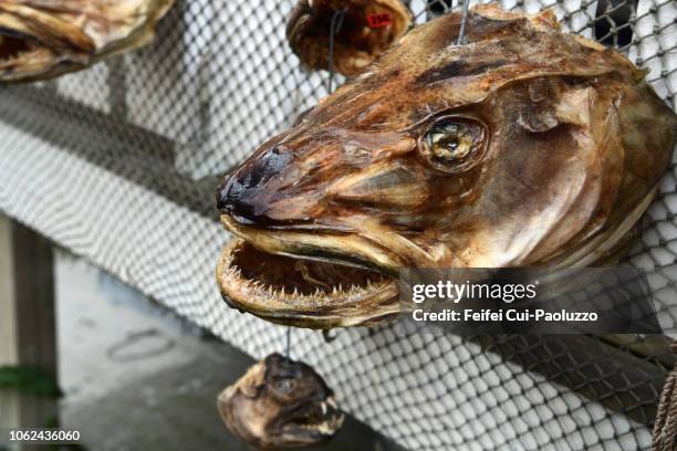 Large Cod Head 229 Cod Fish Head Stock Photos, High-Res Pictures, and Images - Getty ...