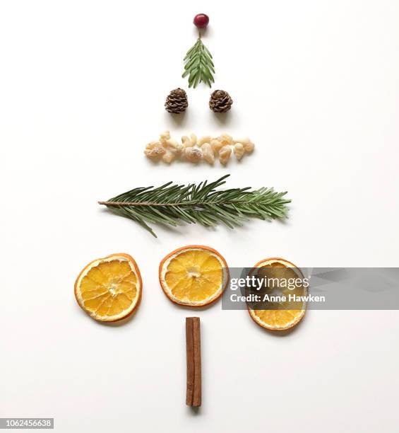 christmas tree - pinha pinha de conífera - fotografias e filmes do acervo