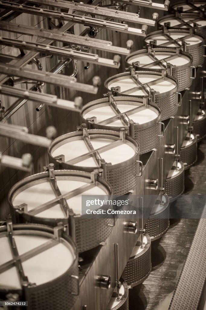 Cheese Making Production Line