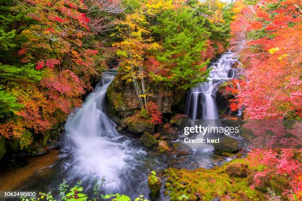 ryuzu falls in autumn, nikko - nikko stock-fotos und bilder