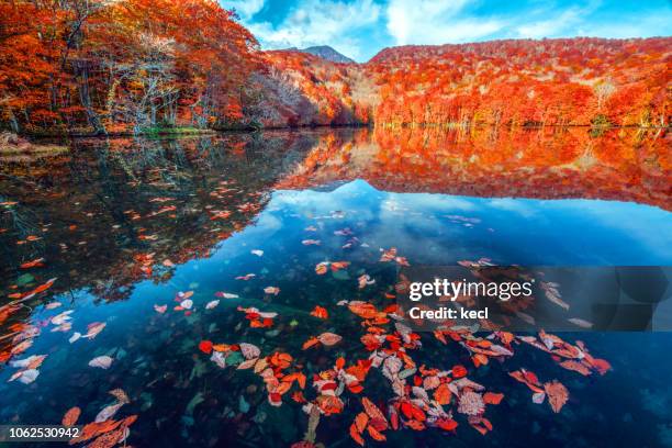 tsuta numa pond - 青森県 ストックフォトと画像